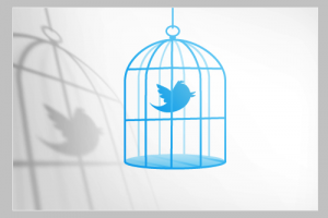 TwitterPrison