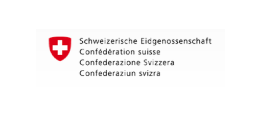 Swiss MFA_Logo