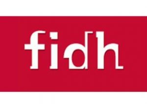 FIDHlogoweb
